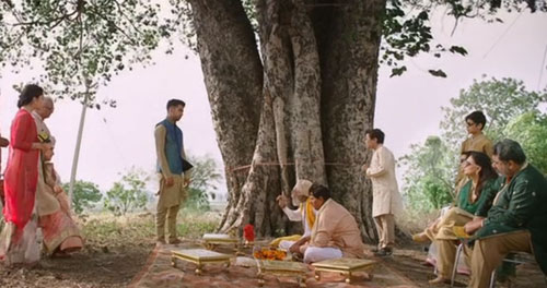 Kanan-Marrys-the-tree