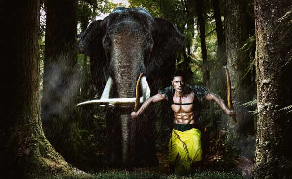 junglee full movie download 720p