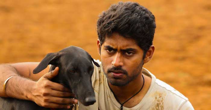 Pariyerum Perumal Tamil Full Movie Download For Free Instube Blog